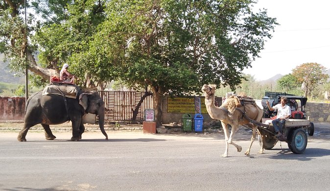 Jaipur Heritage Walking Tour - Local life, Havelis and Temples - City Palace of Jaipur and the Havelis You See From the Lanes