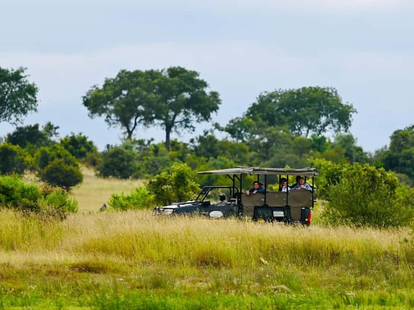 Jaipur: Jhalana Amagarh Leopard Reserve 4×4 Jeep Safari - Getting there in comfort: pickup, jeep safari, and the rhythm of the day