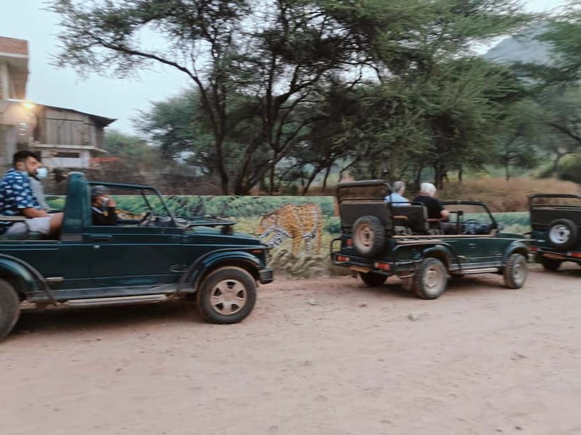 Jaipur: Jhalana Amagarh Leopard Reserve 4×4 Jeep Safari - Optional Elephant Village Park: how to add time without disappointment