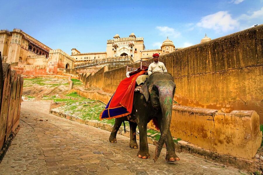 Jaipur: Private Full-Day City Tour by Tuk-Tuk or Car - Amber Fort Viewpoints and the Fort Complex, Up Close