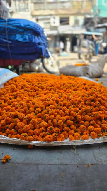 Jaipur: Private Guided Half Day Tour in Jaipur - What to bring, what to know before you go