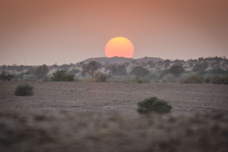 Jaisalmer: 2-Day Thar Desert Experience - Food, tea, and what to expect beyond basic meals