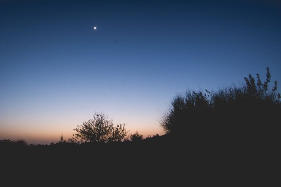 Jaisalmer: 2-Day Thar Desert Experience - From your Jaisalmer hotel to the desert: Jeep time that sets the tone