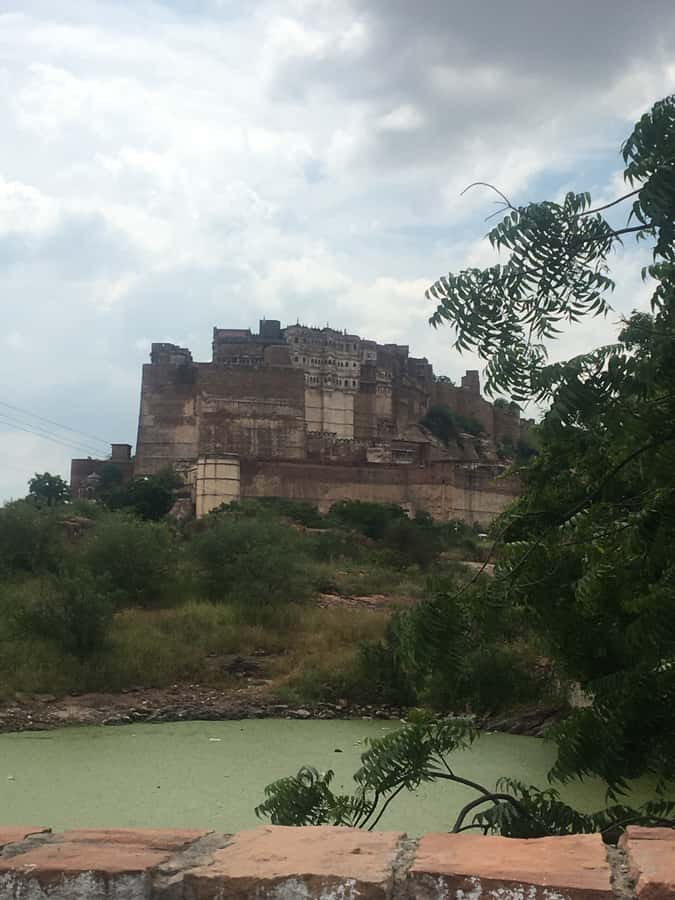 jodhpur blue city walking tour with guide - Price and What You Truly Get for $11