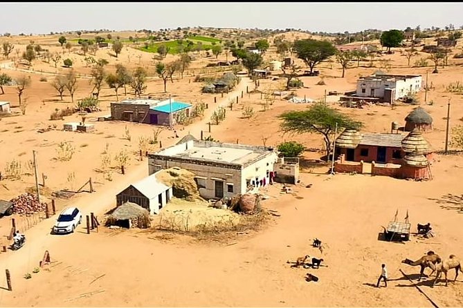 Jodhpur Camel Safari & Jeep Safari In Desert Jodhpur SR - Camel Safari in the Thar Desert: Slow Travel With Lots to Notice