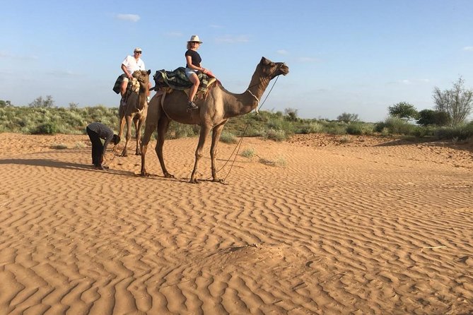 Jodhpur Camel Safari & Jeep Safari In Desert Jodhpur SR - Getting From Jodhpur to Osian: Where the Morning Starts