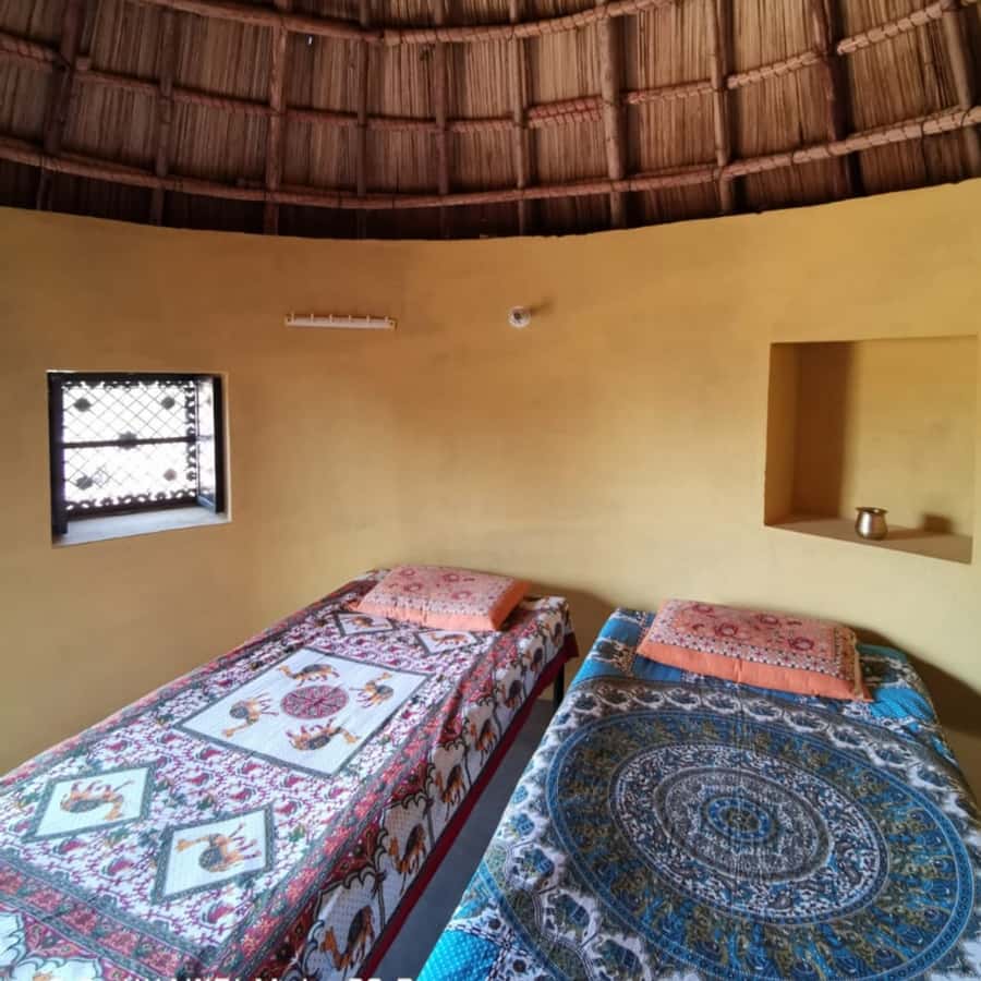Jodhpur Camel Safari & Overnight Stay In Desert With Sumer - Getting There From Jodhpur, and Why the Timing Feels Right