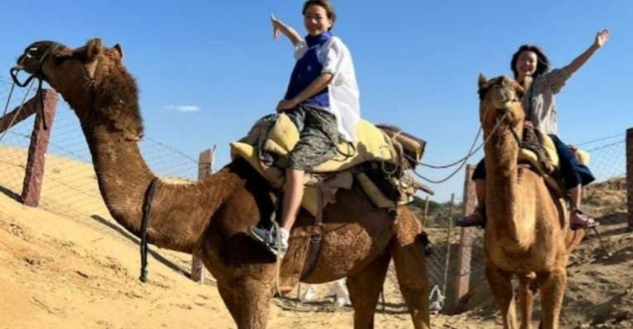 Jodhpur: Desert Camel and Jeep Safari with Traditional Food - A 500-Year-Old Village Visit and a Meal Cooked on Open Wood Fire