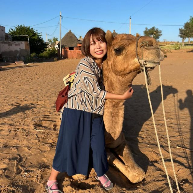 Jodhpur: Desert Camel and Jeep Safari with Traditional Food - The Two Options: Camel Only vs Camel Plus Jeep on the Dunes