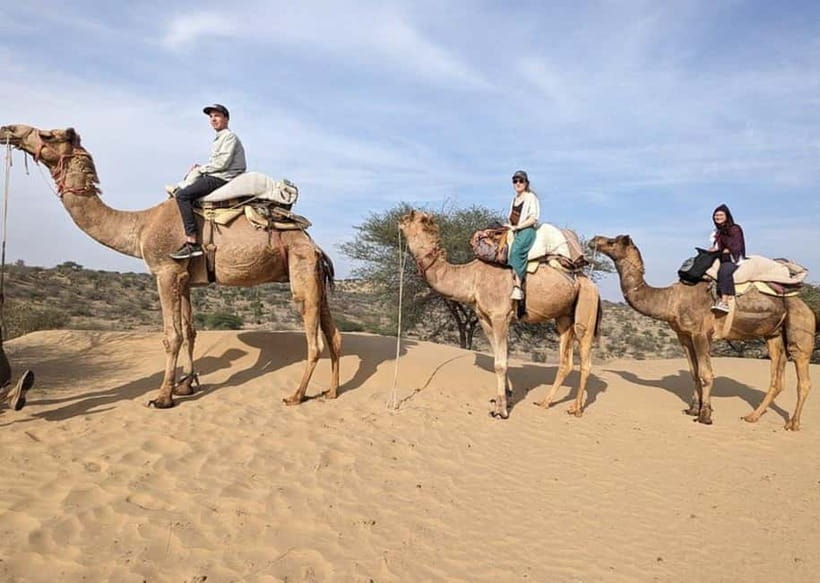Jodhpur: Overnight Stay in Desert with Camel Safari - Key things I’d pay attention to