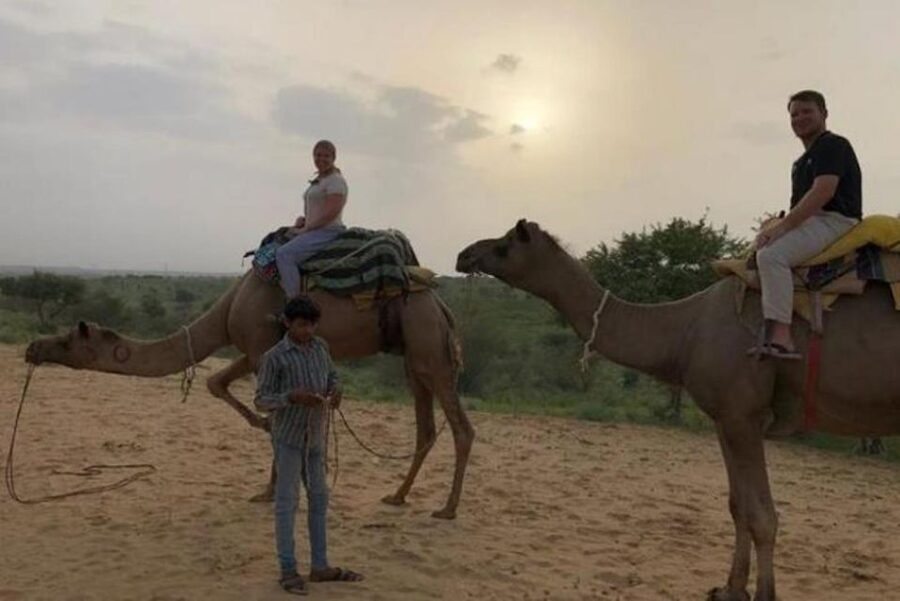 Jodhpur: Overnight Stay in Desert with Camel Safari - Sleeping under stars or in a hut: rustic reality, plus how to enjoy it