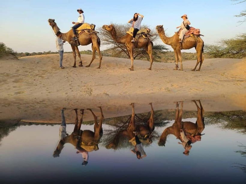 Jodhpur: Overnight Stay in Desert with Camel Safari - Next morning Rajasthani breakfast and return to Jodhpur