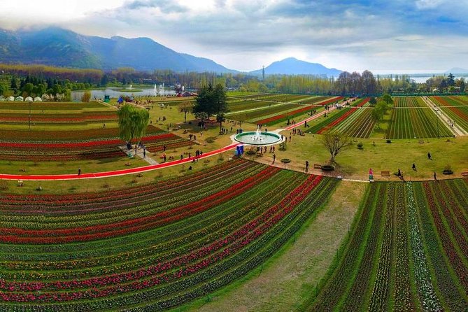 Kashmir Tulip Festival - Why this Kashmir Tulip Festival route works (and who it fits)
