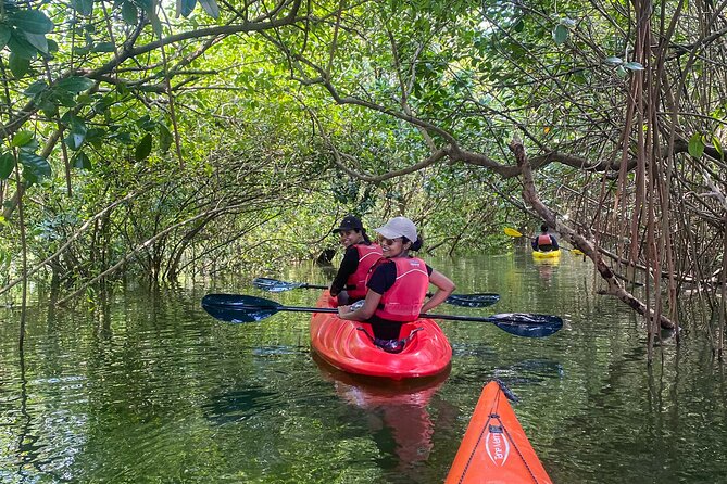 Kayaking in Mangrove Forest of Paravur Backwaters near Varkala and Kollam - Quiet Paravur Backwaters kayaking, minus the usual chaos