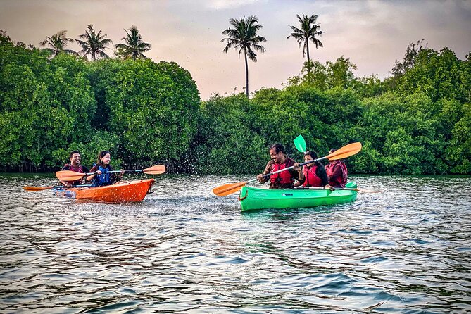 Kayaking in Mangrove Forest of Paravur Backwaters near Varkala and Kollam - Weather rules and what to wear when the water is your main partner