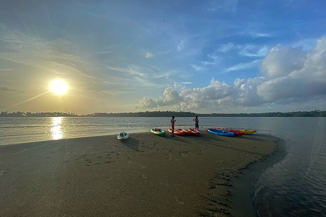 Kayaking in Mangrove Forest of Paravur Backwaters near Varkala and Kollam - Your 4-hour route: from Syzygy to Railway Bridge and into mangroves