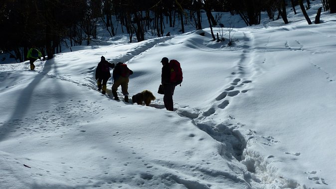 Kedarkantha Trek - Why Kedarkantha Works as a Winter Trek Route