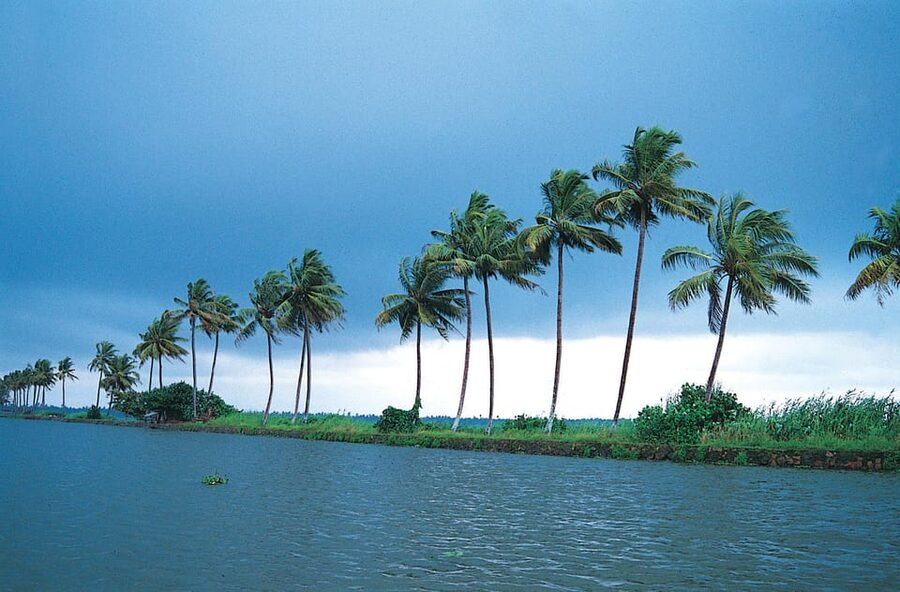 Kerala: Alappuzha River Cruise with Village Walk - From narrow canals to open water: what your 3 hours look like
