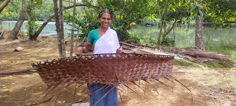 Kochi: Backwater Exploration in Village: Free Pickup & Drop - Backwaters by bamboo poles: why the quiet ride is the point