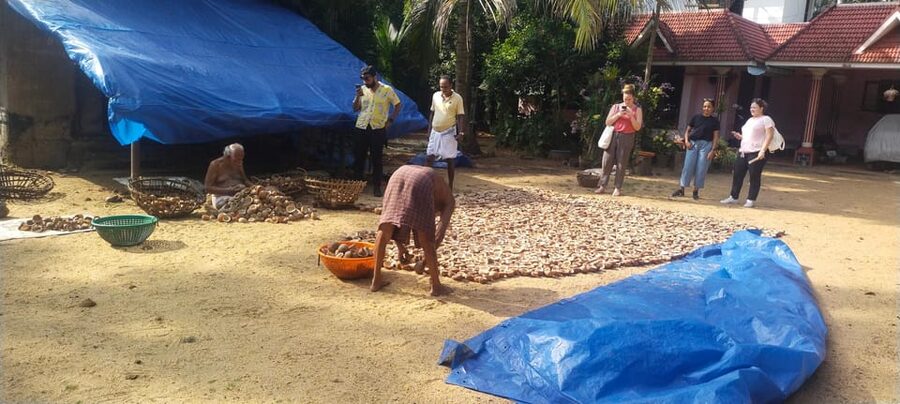 Kochi: Backwater Exploration in Village: Free Pickup & Drop - Price and value: what you get for about $63