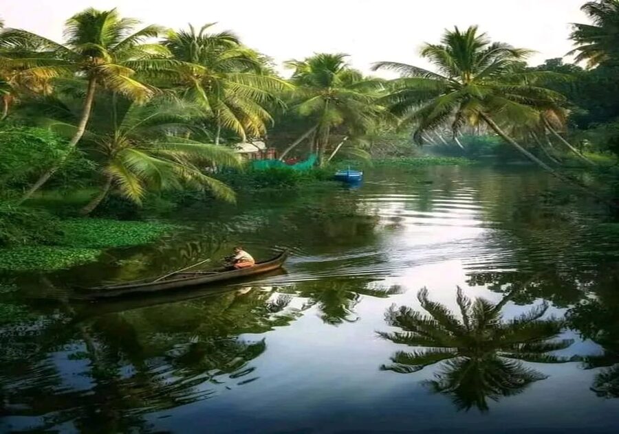 Kochi: Backwater Exploration in Village: Free Pickup & Drop - Practical tips: what to bring and how to avoid discomfort