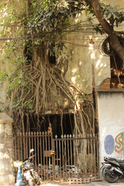 Kolkata: A Sea of Faces and A Thousand Places - Timing, heat, and comfort: how to set yourself up for a good day