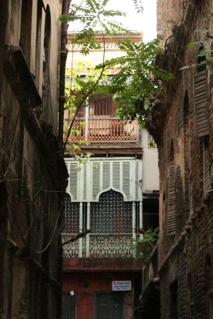 Kolkata: A Sea of Faces and A Thousand Places - The tea break and street-food alley, a practical taste moment
