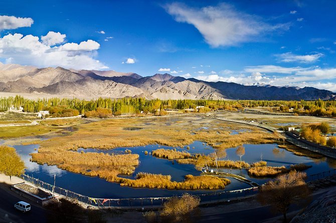 Ladakh 5-Star Premium Tour 7 Days - Key Highlights You’ll Care About