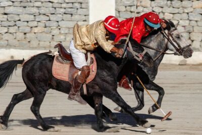 Ladakh 5-Star Premium Tour 7 Days