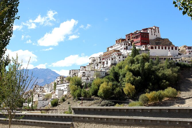 Ladakh 5-Star Premium Tour 7 Days - Day 2: Leh Palace, Magnetic Hill, and a Monastery Circuit That Makes Sense
