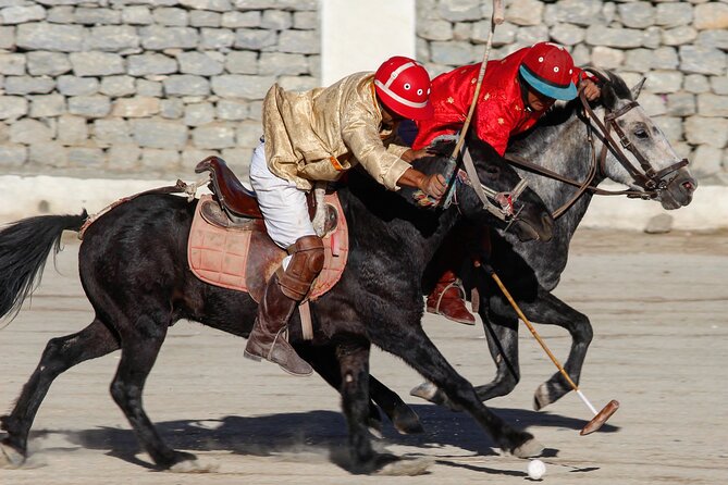 Ladakh 5-Star Premium Tour 7 Days - Price and Value: What $1,815.07 Actually Covers (And What Might Cost Extra)