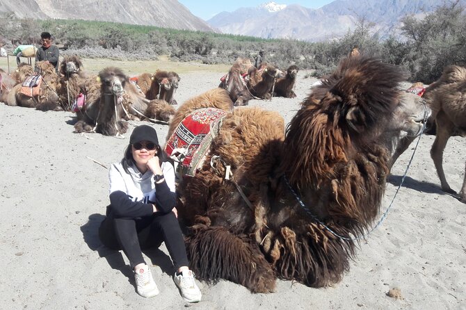 Ladakh Special Tours - Meals and Lodging: Three-Star Hotels Plus Camps, and Why That Mix Works