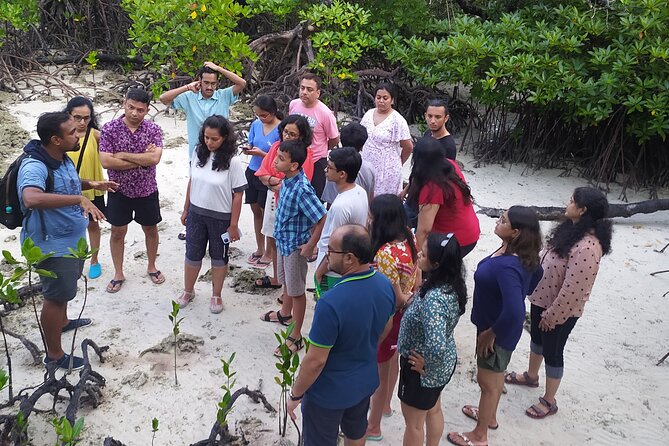 Marine Trail - Walking the mangrove fringe and exposed lagoons