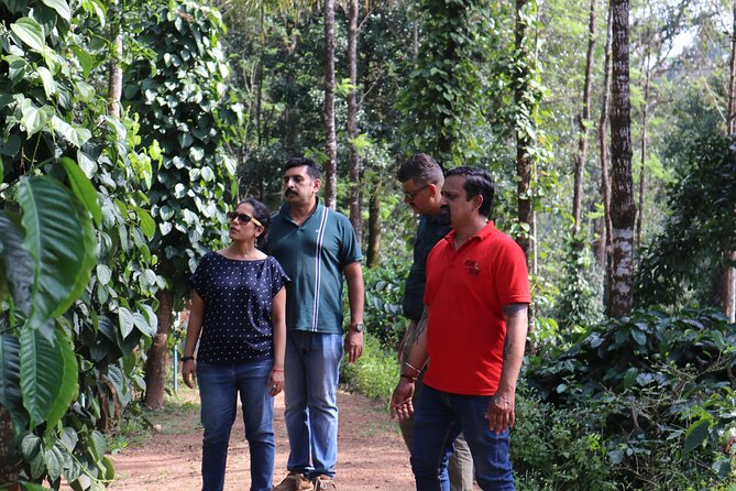 Mercara Gold Coorg Coffee and Spice Estate Tour - Entering the Mercara Gold Estate, where coffee lives alongside other crops
