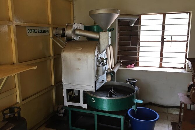 Mercara Gold Coorg Coffee and Spice Estate Tour - Price and value: why around $11 can still make sense