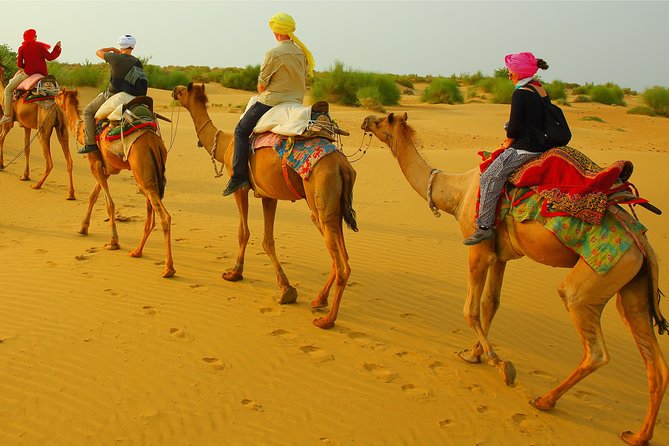 Midnight Mirage Experience (Non Touristic) - Key reasons this safari stands out