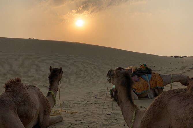 Midnight Mirage Experience (Non Touristic) - The 18-hour schedule, from pickup to flexible return