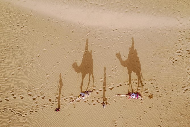 Million Stars Experience - Desert Camp & Stargazing in Jaisalmer - Key Things That Make This Safari Different