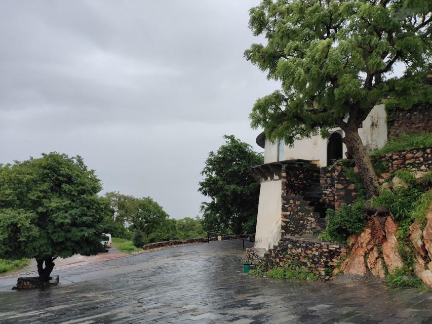 Monsoon Palace (Sajjangarh) E-bike Trail - Getting Up the Hill: The 10 km E-Bike Ride Through Sajjangarh Wildlife Sanctuary