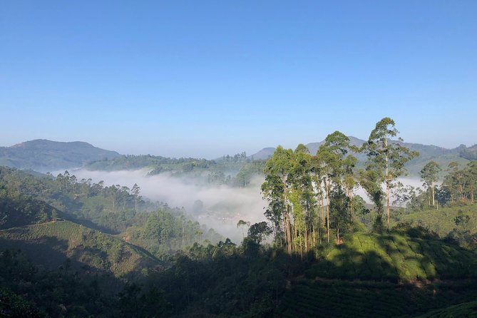 Mountain Hiking in Munnar (half day) By Munnar Info - Why this morning trek in Munnar feels like more than a walk