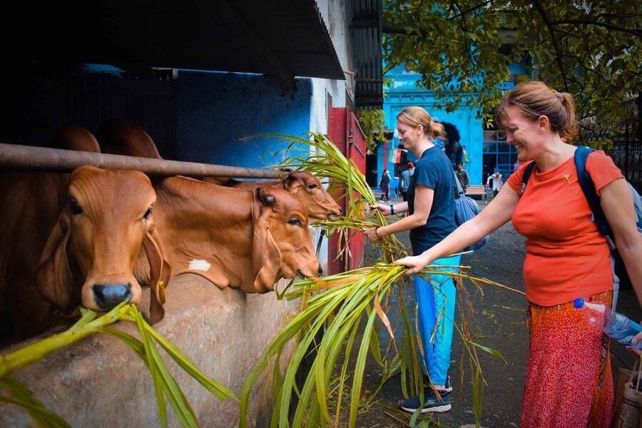 Mumbai: Local Markets & Temples Tour - Who this tour suits best, and who might want a different plan