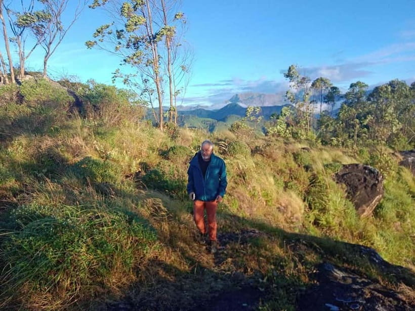 Munnar: Half day Guided Trek - Munnar’s Lekshmi Hills Tea Walk: Four Hours That Actually Delivers