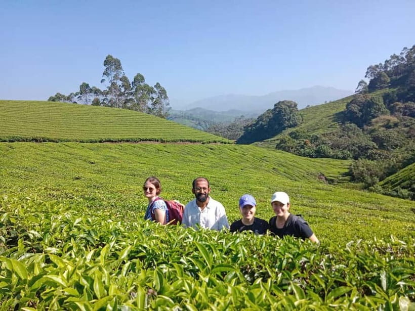 Munnar: Half day Guided Trek - From Munnar Info to Trail Time: What Happens at the Start