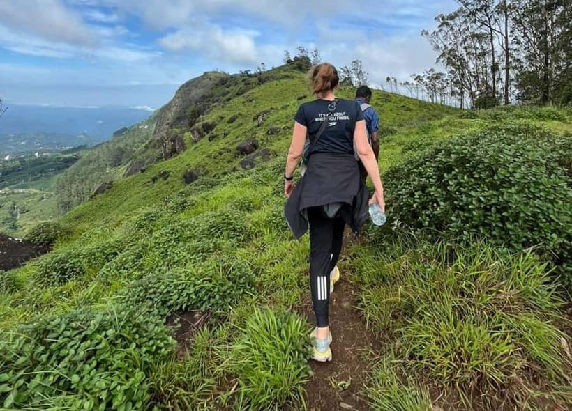 Munnar mountain hiking (Full day) - The 7-hour flow: pickup, climb, then a scenic descent back by 3 to 5 pm