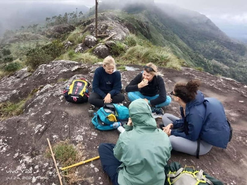 Munnar mountain hiking (Full day) - Tea plantations: why the views matter, and why the tea talk matters more