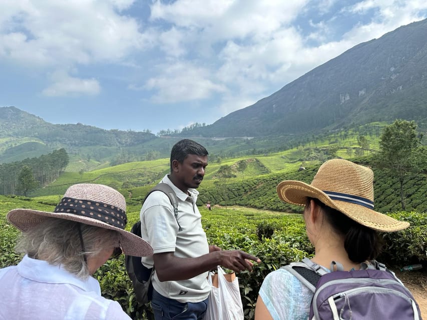 Munnar: Tea trail, Tea Factory, and Tea Tasting Tour - The 3-Hour Timing: Enough Time to Learn, Not Enough to Wander