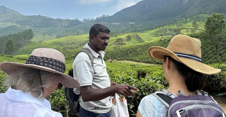 Munnar: Tea trail, Tea Factory, and Tea Tasting Tour - FAQ