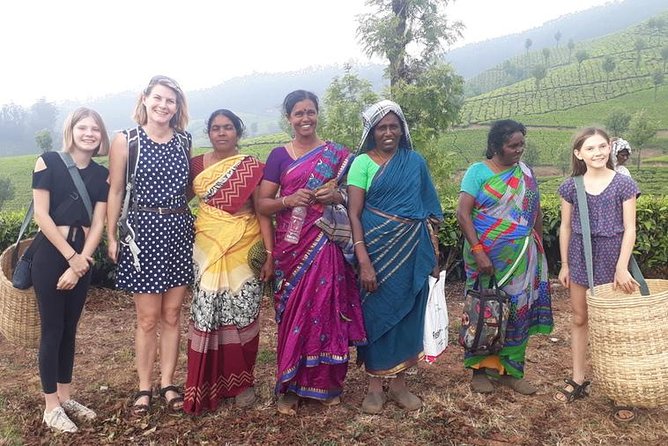 Munnar Tea Trail Tour with Factory Experience ( By Munnar Info) - Practical Tips for a Smoother Walk at Lockhart Estate
