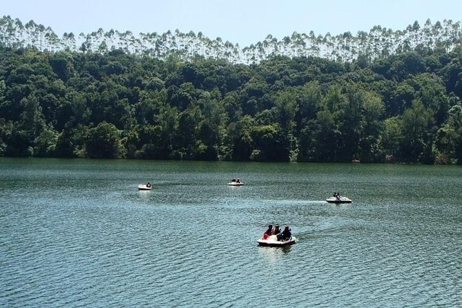 Munnar Tea valley Tour ( By Munnar Info) - Why This Munnar Tea Valley Route Fits a Real Day