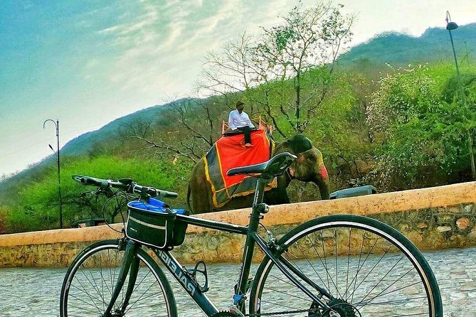 Nahargarh Cycle Tour in Jaipur - Govind Devji Temple after the downhill, when crowds feel real